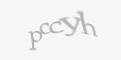 Защитный код