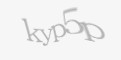 Защитный код